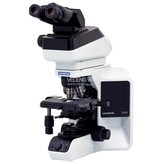 OLYMPUS奥林巴斯 研究级显微镜 BX43