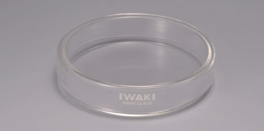 ＩＷＡＫＩ　硝子ペトリ皿|||６０－２０ＨＳ－Ｎ　１組/IWAKI玻璃培养皿| | | 60-20HS-N的1套