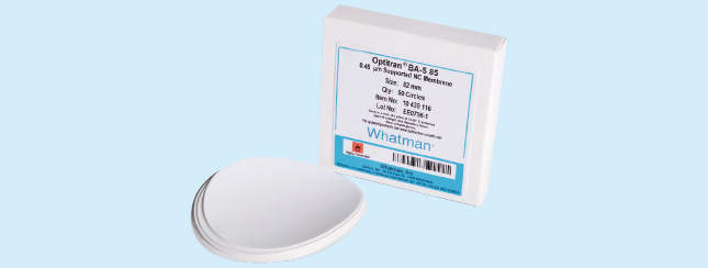 ワットマン　ﾒﾝﾌﾞﾚﾝ　Optitran|||１０ ４３９ １１６　５０入/滤纸膜Optitran | | | 10 439 116 50输入
