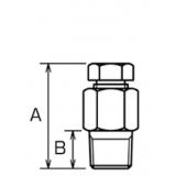 コンプレッションフィッティング|||Ｒ３／８ＣＦ　φ４．８㎜/压缩接头| | | R3/8CFφ4.8毫米