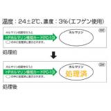 ホルマリン用検知カード|||ＦＣ－１０　１００枚入/