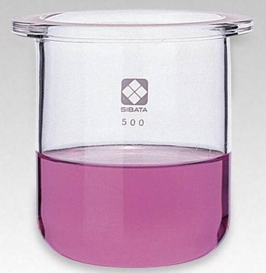 日本原装进口可分离式烧瓶（平面配研型）005670-200筒形